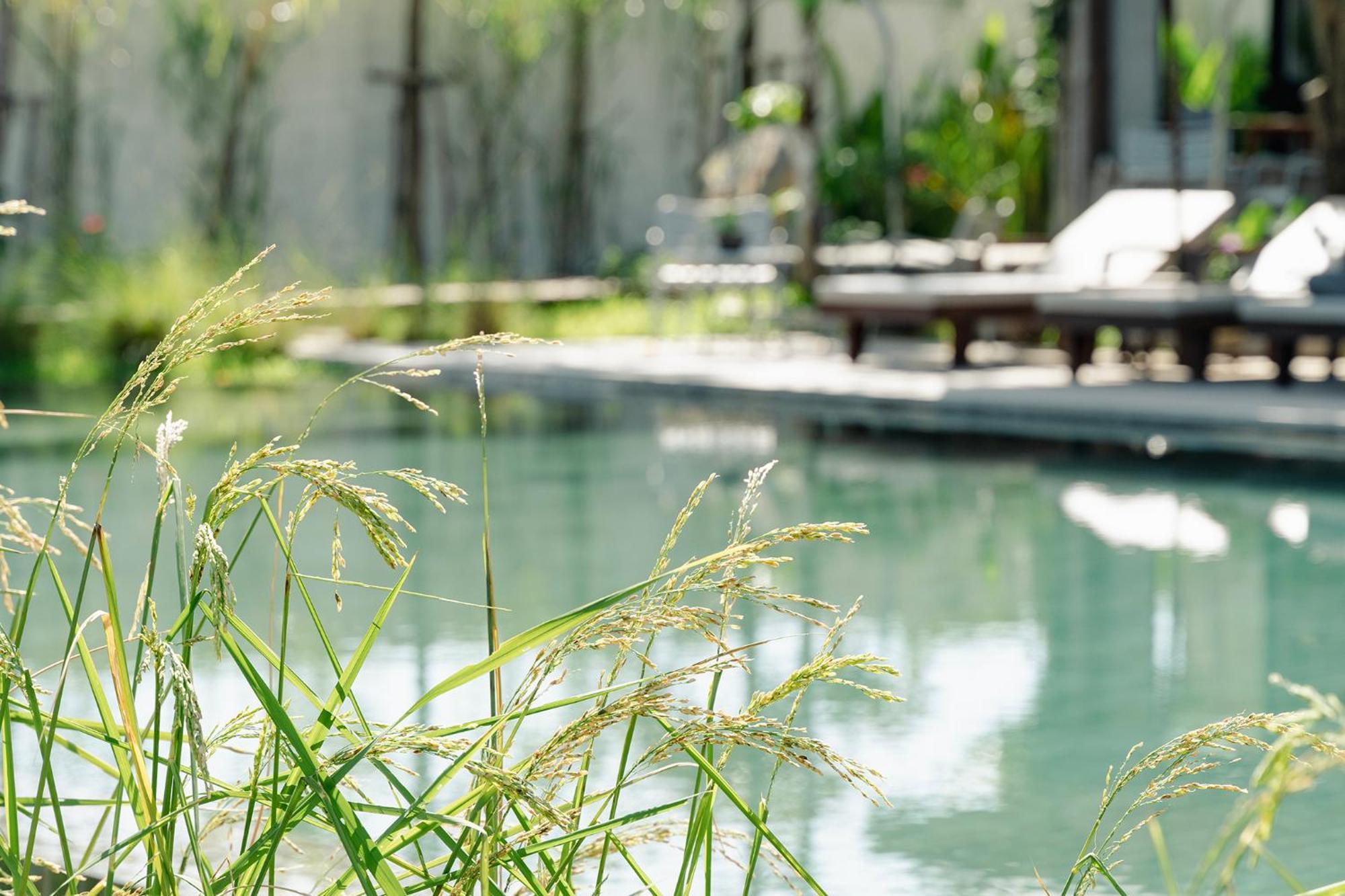 Le Chanthou Boutique Siem Reap Dış mekan fotoğraf